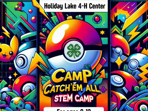 Camp Catch'Em All